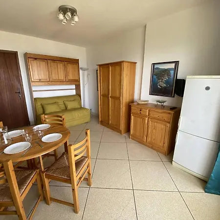Au Lavandou Avec Terrasse Vue Et Parking - Fr-1-816-17 Apartment *